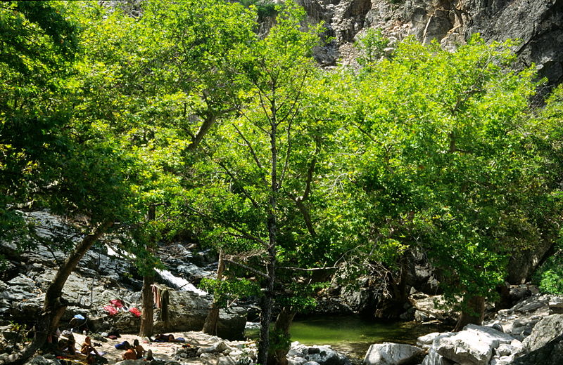 File:20020800 Pond Samothrace island Thrace Greece.jpg