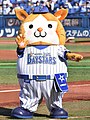 Hosshey, Mascot Wiki