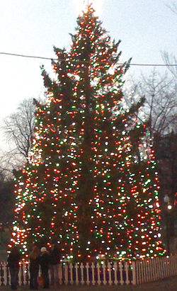 Giant Christmas Trees, Grand Feature Christmas Trees