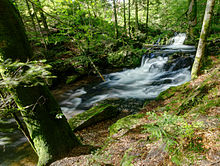 La Savoureuse passant au pied du massif.