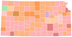 County results
.mw-parser-output .legend{page-break-inside:avoid;break-inside:avoid-column}.mw-parser-output .legend-color{display:inline-block;min-width:1.25em;height:1.25em;line-height:1.25;margin:1px 0;text-align:center;border:1px solid black;background-color:transparent;color:black}.mw-parser-output .legend-text{}
Kobach
30-40%
40-50%
50-60%
Colyer
30-40%
40-50%
50-60%
70-80%
Kobach/Colyer tie
40-50%
Selzer
30-40% 2018 KS gubernatorial GOP primary.svg