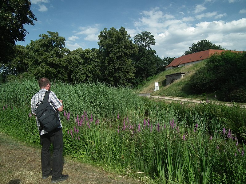 File:20190622 Senftenberg 102.jpg