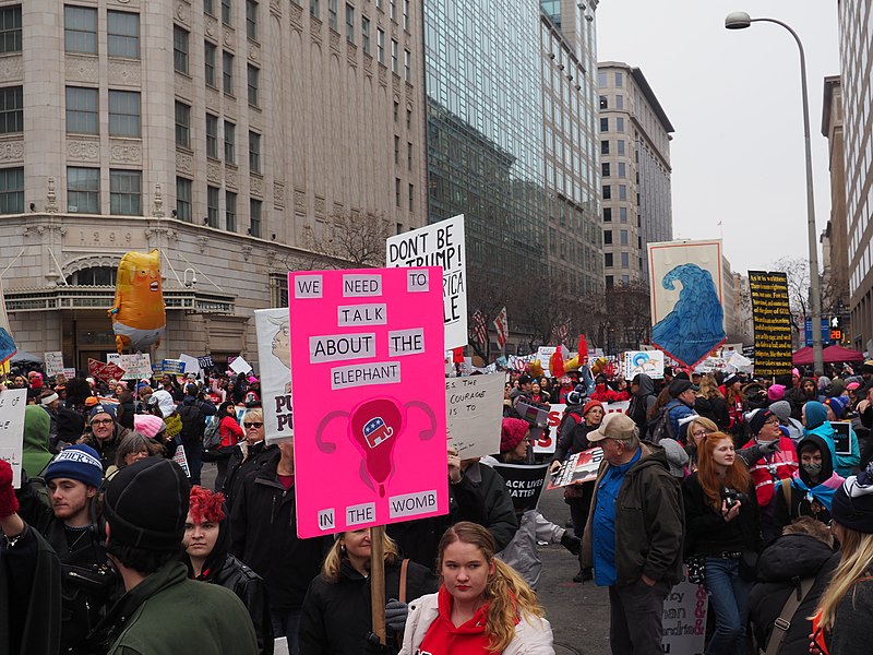 File:2019 Women's March on Washington, D.C.1191800.jpg