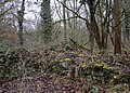 Ruins of the northern side of the surrounding wall of the Schwarzenbroich monastery