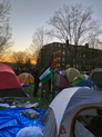 2024 Anti-War Encampment Palestinian Flag Cornell University.png