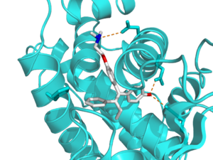 Tamoxifen