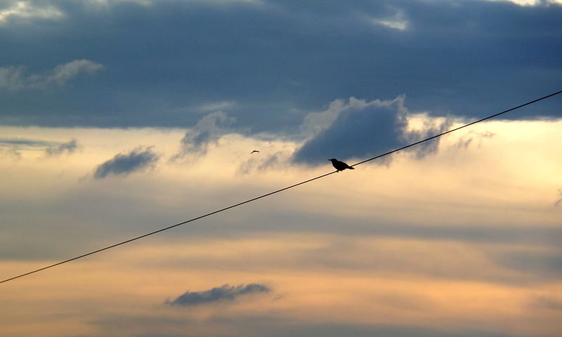 File:A view of clouds and sky.jpg