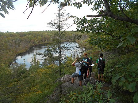 Abraham S Hewitt State Forest