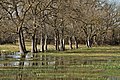 * Nomination Wetlands of the emporda Costa brava Catalonia-Spain --Alberto-g-rovi 18:05, 21 November 2013 (UTC) * Promotion Good quality. --JLPC 18:14, 21 November 2013 (UTC)