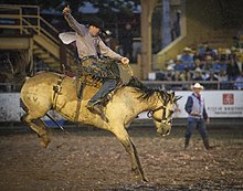 Saddle bronc riding at the Pikes Peak or Bust Rodeo Air Force Space Night at the Rodeo (3602208).jpeg