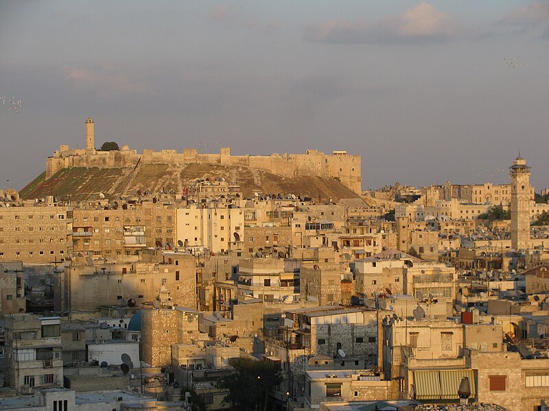 File:Aleppo and the citadel.jpg