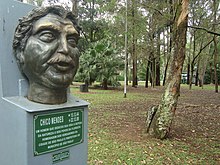 A vida pela floresta: Chico Mendes sob o olhar de um seringueiro Sem Terra