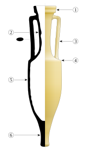 Dressel 1B type amphora
Key : 1 : rim - 2 : neck - 3 : handle - 4 : shoulder - 5 : belly or body - 6 : foot Amphora Dressel 1B.svg
