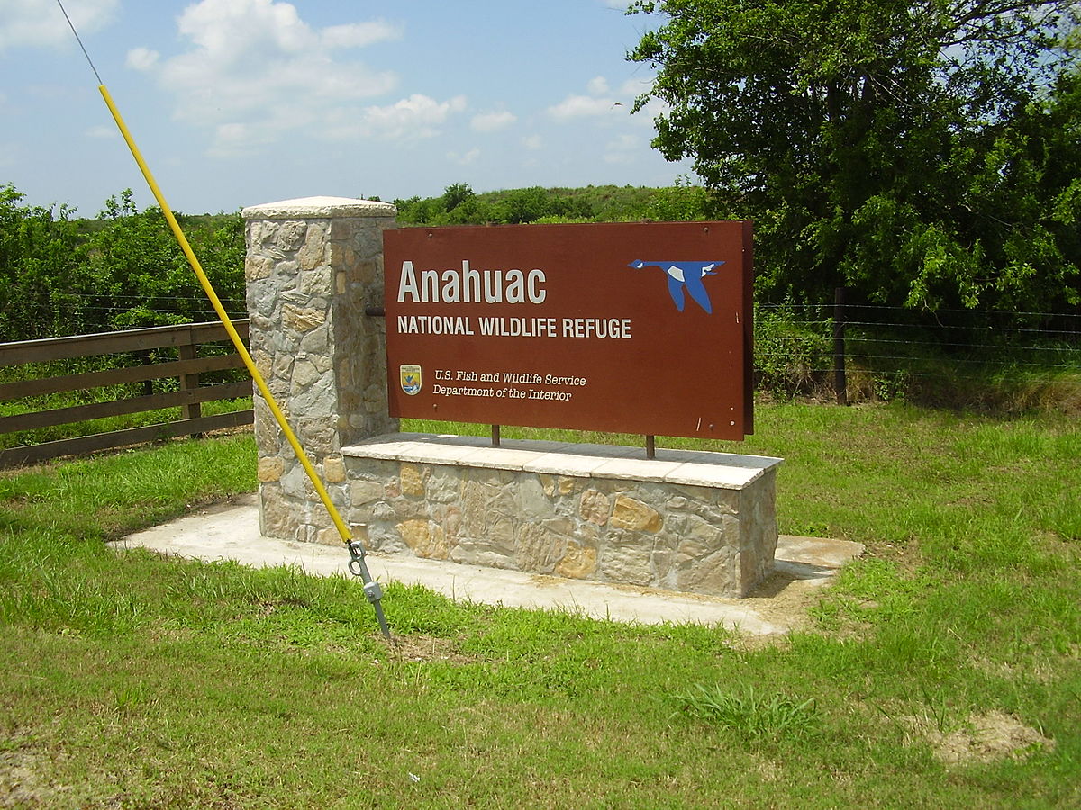 Anahuac nwr duck hunting