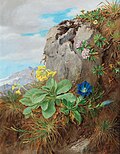 Miniatuur voor Bestand:Anna Stainer-Knittel - Alpine Flowers.jpg