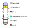 Miniatura da versão das 02h37min de 28 de junho de 2020