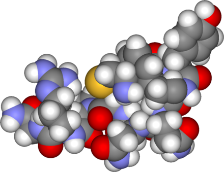 A Vasopressin molecule