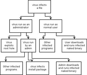 How Can Viruses Affect Your Computer?