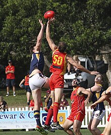 Ruckmen contesting a ball-up Australian football ruckwork.jpg