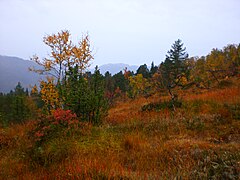 Uphill from Vinjeøra