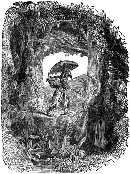 File:Avventure di Robinson Crusoe p220.jpg