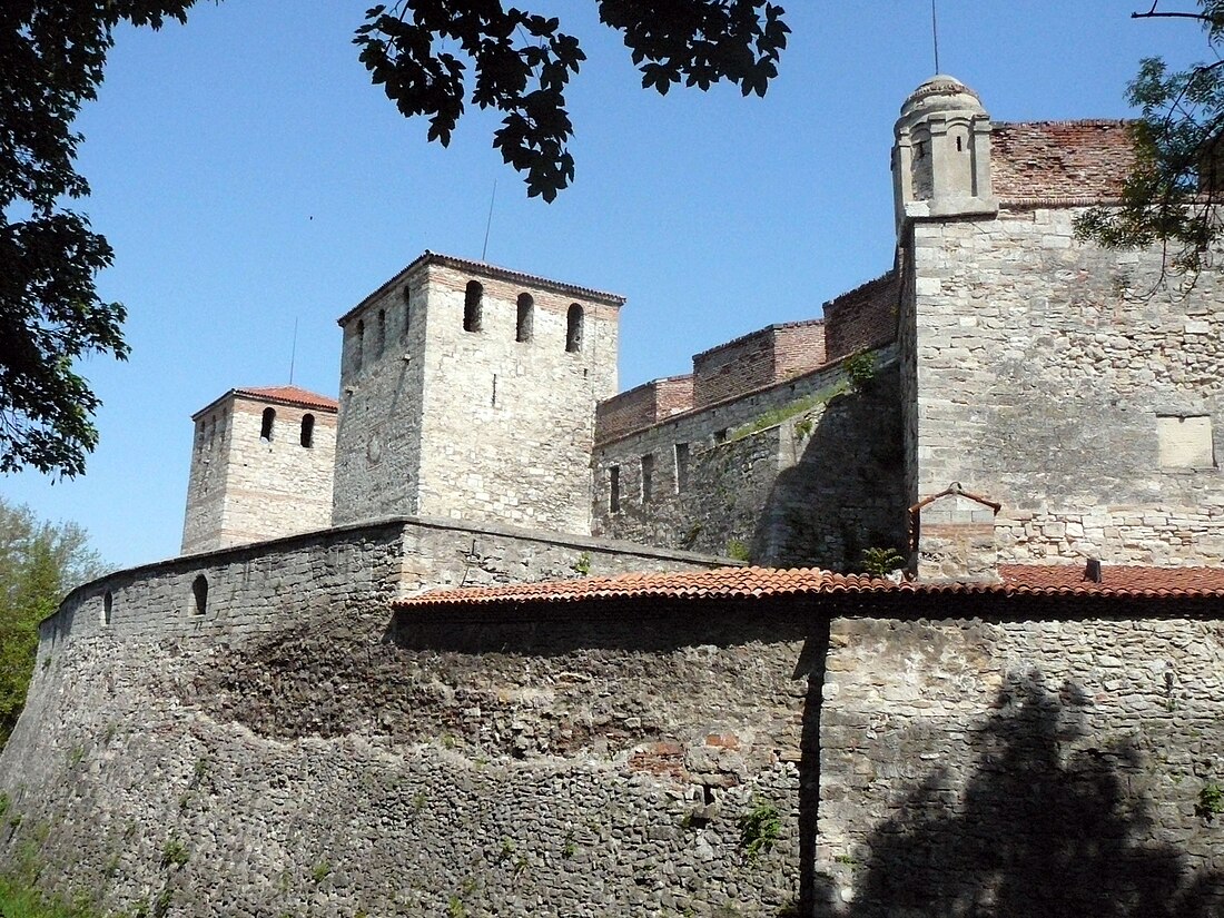 Vidin (stad)