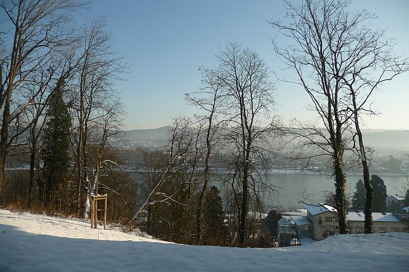 File:Bahnhof Rolandseck Winter 1.jpg