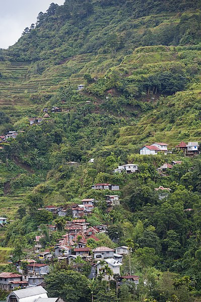 File:Banaue Philippines View-of-the-Town-03.jpg