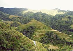 Banaue Rice Terraces, Ifugao.JPG