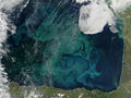 Phytoplankton bloom in the Bay of Biscay (2005-04-29).