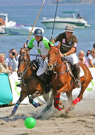 <span class="mw-page-title-main">Beach polo</span> Variant of arena polo