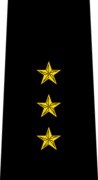 Belarus Police—11 Senior Ensign rank insignia (Black).png