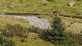 Bergtocht van Lavin door Val Lavinuoz naar Alp dÍmmez (2025m.) 11-09-2019. (actm.) 13.jpg