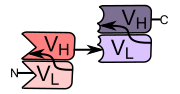 Thumbnail for Bi-specific T-cell engager