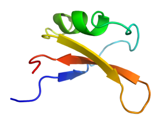 <span class="mw-page-title-main">Brazzein</span> Protein