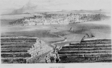Burton View of Medina.gif