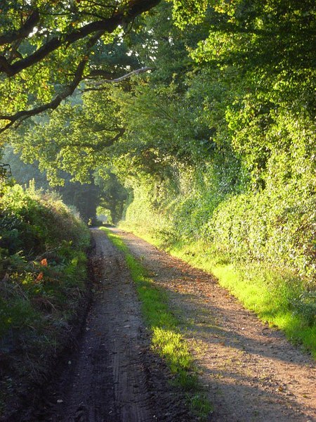 File:Byway, Hammonds, Checkendon - geograph.org.uk - 977141.jpg