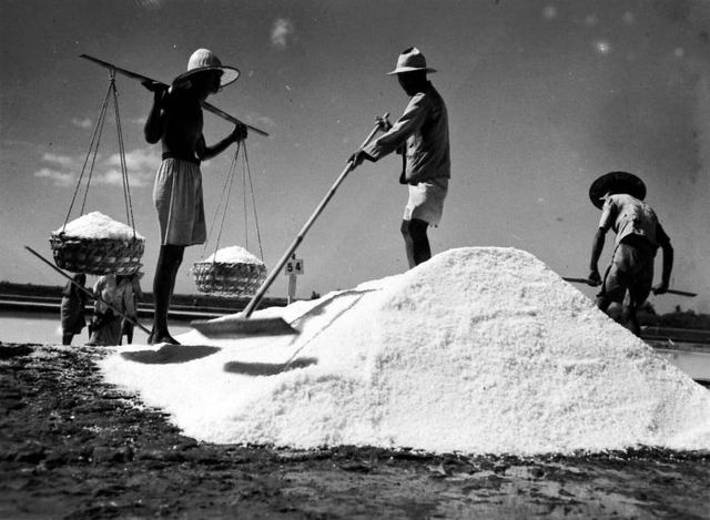 Salt making in Madura in 1948