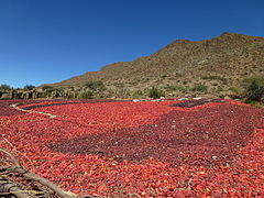 Red peppers in Cachi, Argentina are air-dried before being processed into powder