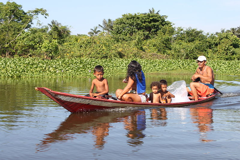 File:Canoa amazonense.JPG