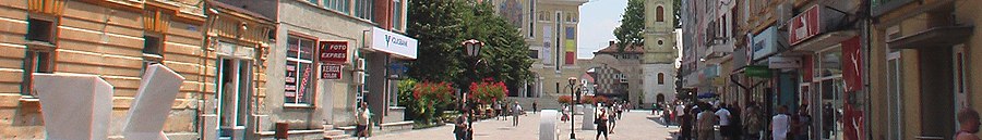 Caransebeș page banner