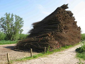 Stapels wilgentenen (Carnisse Grienden)