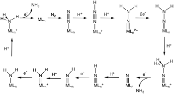 Hypothesized cycle for M-catalysed nitrogen fixation according to Chatt et al. ChattCycle.svg