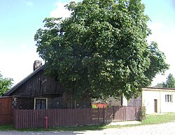 Cieciszew 001.JPG