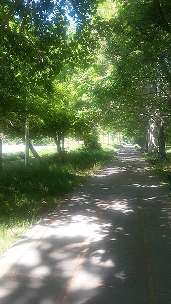 File:Circular Park in Yerevan 13.jpg