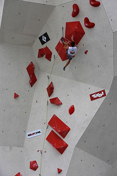 File:Climbing World Championships 2018 Lead Qual Bergant 03.jpg