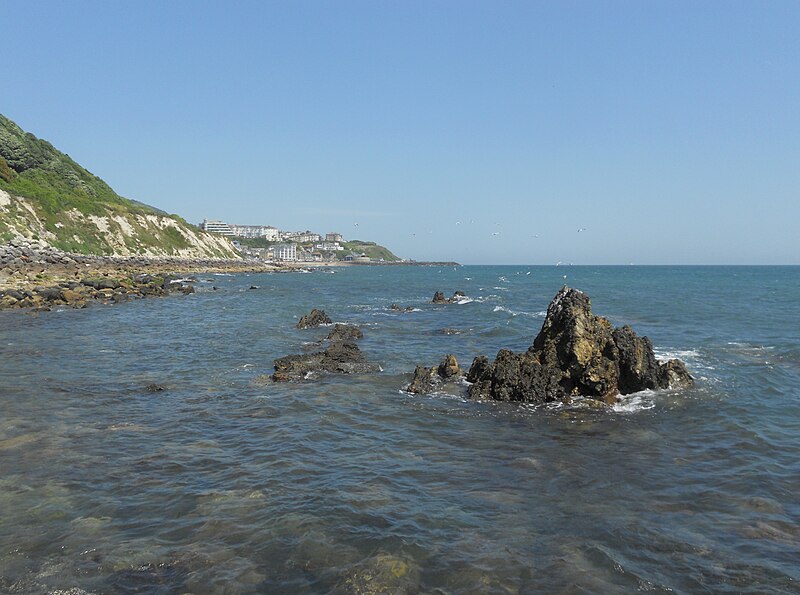 File:Coast near Ventnor, Isle of Wight, England.jpg