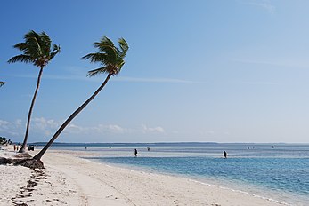 Пляж на Coco Cay