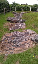 From the top to the bottom of the image, a range of large, grey and mottled stones are situated at a low level, surrounded and partially covered by soil and green grass. In the background is a dark green hedge.