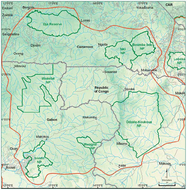 The Congo forest basin area which CARPE seeks to protect CongoforestbasinTRIDOM.jpg